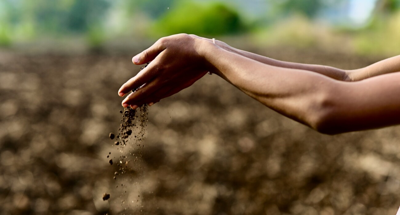 Soil Tillage and Soil Management