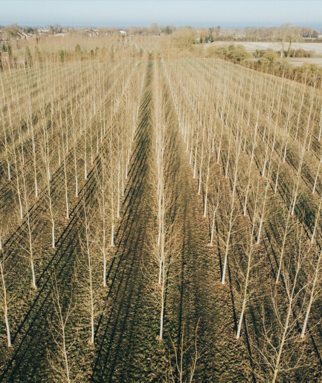 We bring scientific know-how to your orchard